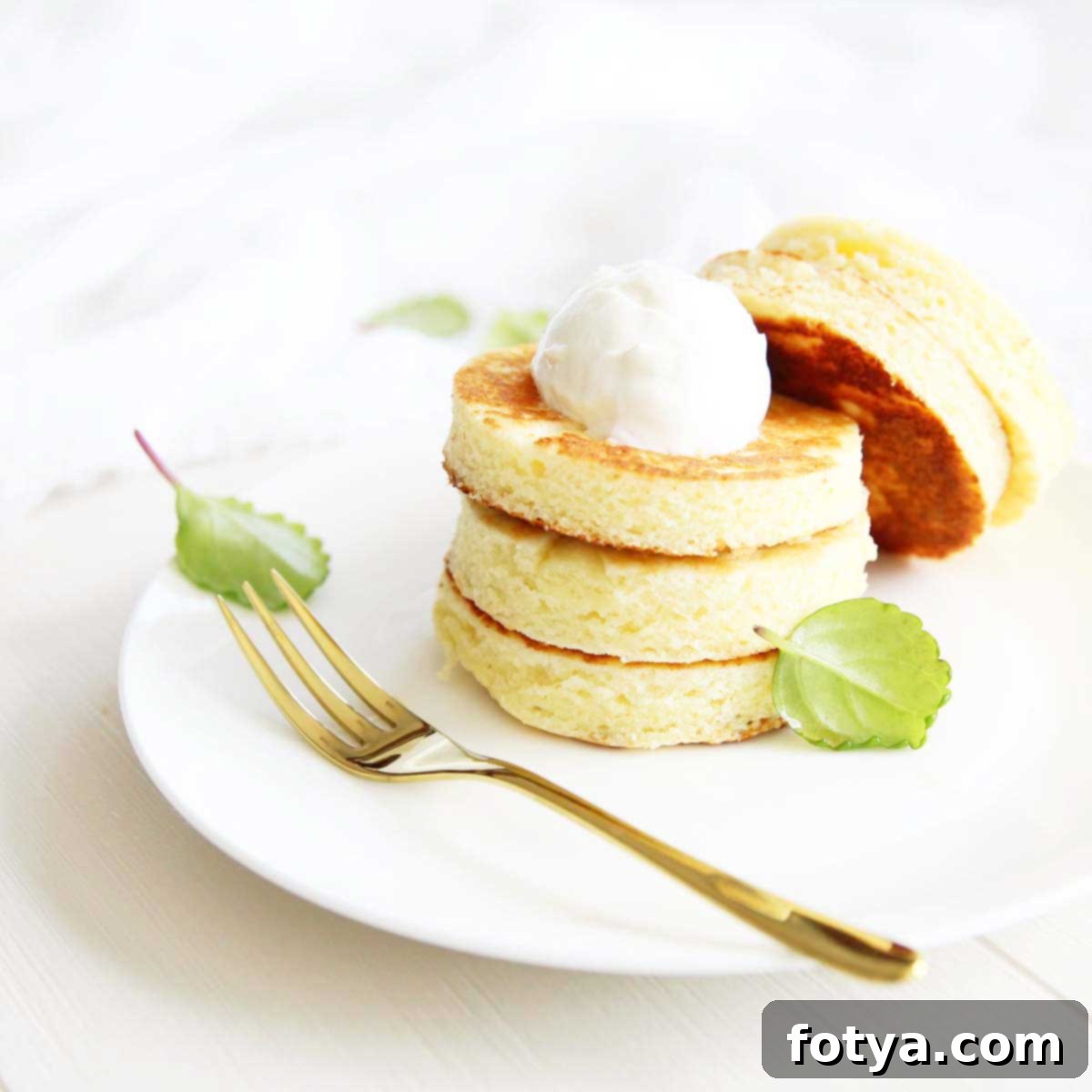 featured 16947