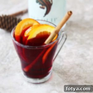 Μη Αλκοολούχο Αρωματικό Πορτοκαλένιο Κρασί με Seedlip Grove 42 5 Μη Αλκοολούχο Πορτοκαλένιο Κρασί με Μπαχαρικά