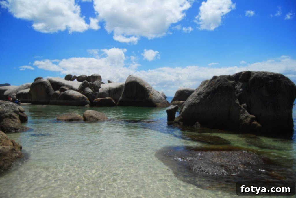 Παραλία Ογκολίθων: Οι Πιγκουίνοι! 2 Παραλία Boulders: Το ταξίδι μας στην παραλία Boulders, σπίτι μιας αποικίας αφρικανικών πιγκουίνων, έξω από το Κέιπ Τάουν, Νότια Αφρική.