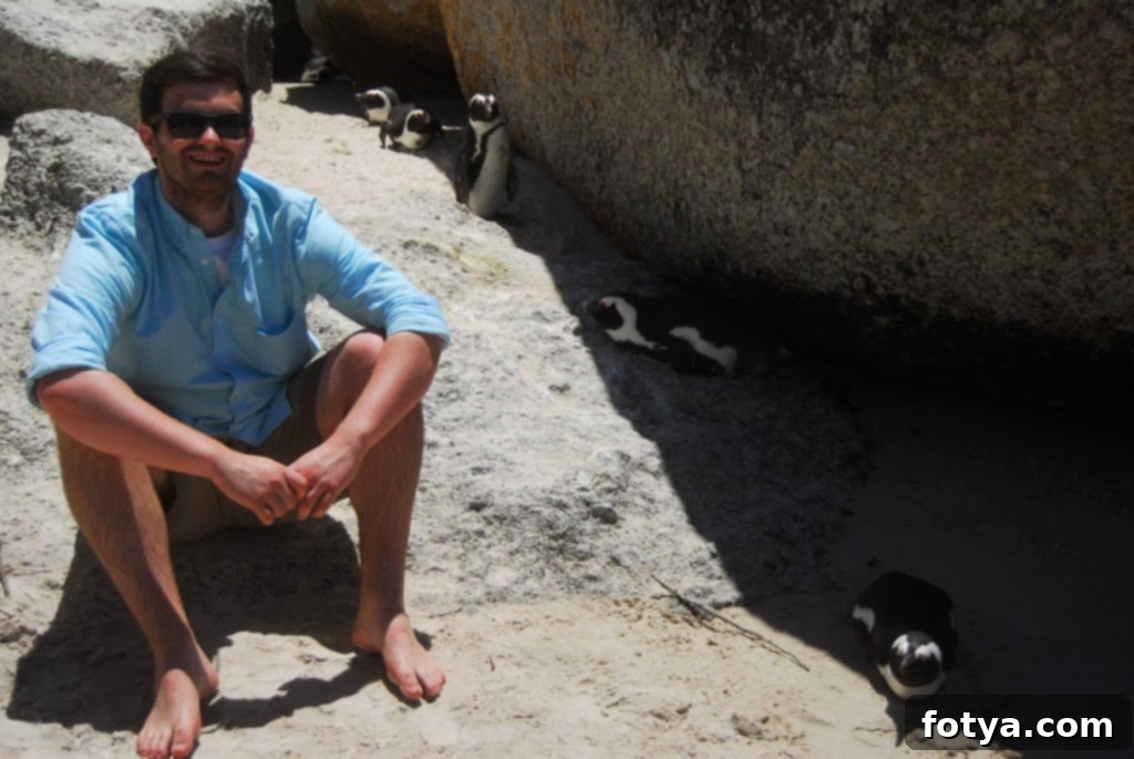 Παραλία Ογκολίθων: Οι Πιγκουίνοι! 5 Παραλία Boulders: Το ταξίδι μας στην παραλία Boulders, σπίτι μιας αποικίας αφρικανικών πιγκουίνων, έξω από το Κέιπ Τάουν, Νότια Αφρική.