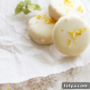 Υγιεινά Πρωτεϊνούχα Δισκάκια Μέντας & Λεμονιού με Γέμιση Κρέμας Τυριού 11 Lemon Peppermint Patties with Protein Cream Cheese Filling