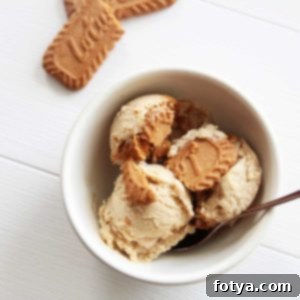 Εύκολο Σπιτικό Παγωτό Biscoff με Κατεψυγμένες Μπανάνες 9 υγιεινή συνταγή Biscoff nice cream