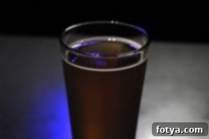 Αγριόμπυρα 3 Δυο ποτήρια με διαφορετικές μπύρες Rogue σε ένα ζεστό περιβάλλον