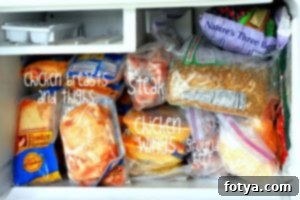 Εσωτερικό ενός πλήρως εφοδιασμένου καταψύκτη Μικρός, αλλά καλά οργανωμένος καταψύκτης γεμάτος με τρόφιμα και κρέας.