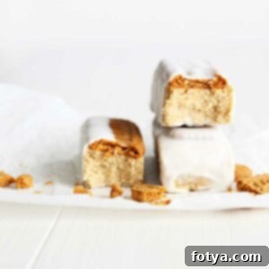 Σπιτικές Μπάρες Πρωτεΐνης Biscoff με Βούτυρο Μπισκότου, Πανεύκολες και Χωρίς Ψήσιμο 16 Σπιτικές Μπάρες Πρωτεΐνης Biscoff Cookie Butter apv