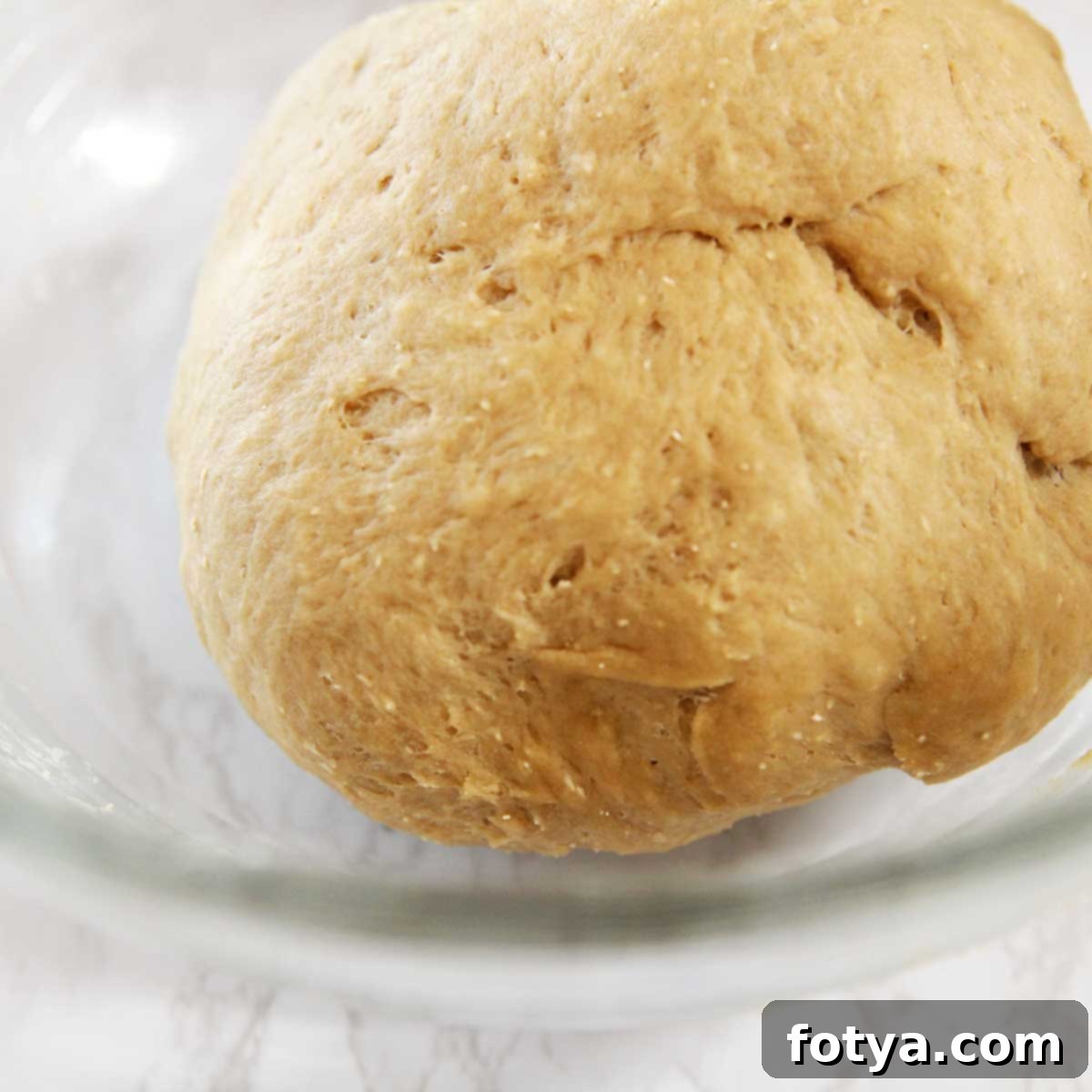 Συνταγή για 100% Ατμοψημένα Baozi Ολικής Άλεσης με Tangzhong 8 Διπλασιασμός του όγκου της ζύμης