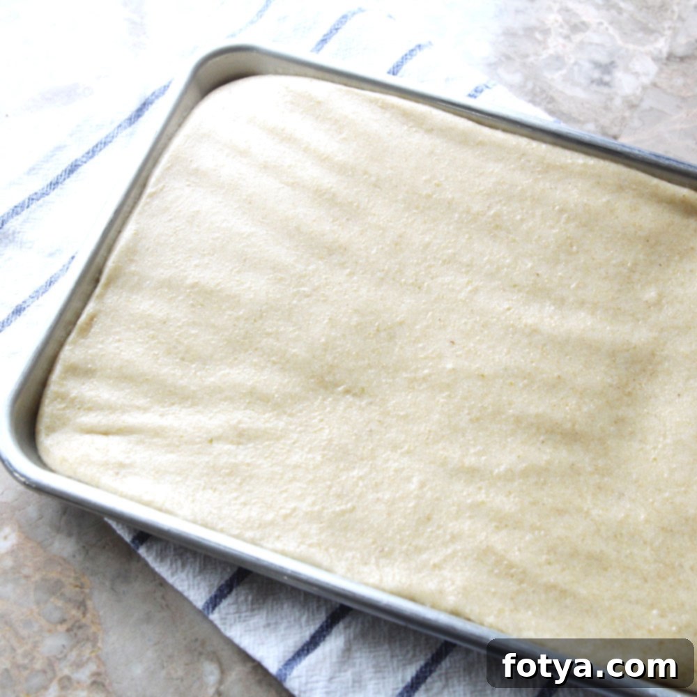 Σπιτικό Μότσι από Καφέ Ρύζι με Μηχανή Μότσι 12 Mochi από Καστανό Ρύζι (Χρησιμοποιώντας Mochi Maker)