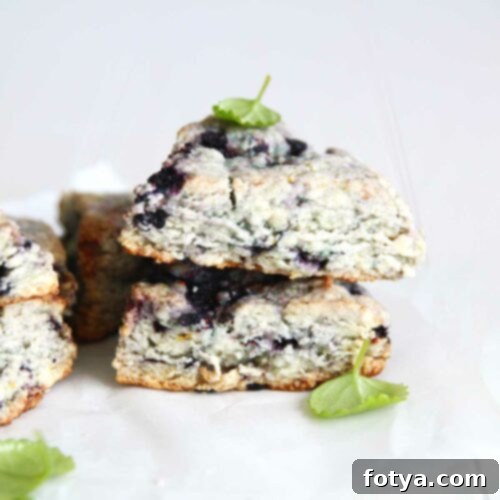 Η Απόλυτη Συλλογή Ιδεών για Scones: Μέρος 1 – Γλυκά Scones 11 Scones με Γεύση Μύρτιλο - Γλυκά Βίγκαν Scones