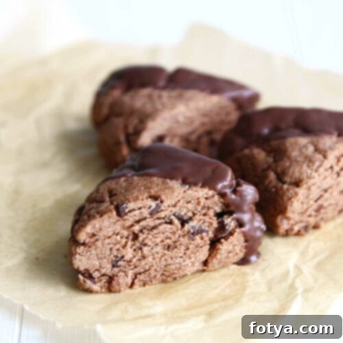 Η Απόλυτη Συλλογή Ιδεών για Scones: Μέρος 1 – Γλυκά Scones 6 Scones με Γεύση Σοκολάτα - Γλυκά Scones