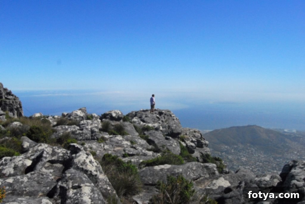 Καλό Ταξίδι, Νότια Αφρική 2 Ο αρραβωνιαστικός στην κορυφή του Τραπεζιού Όρους