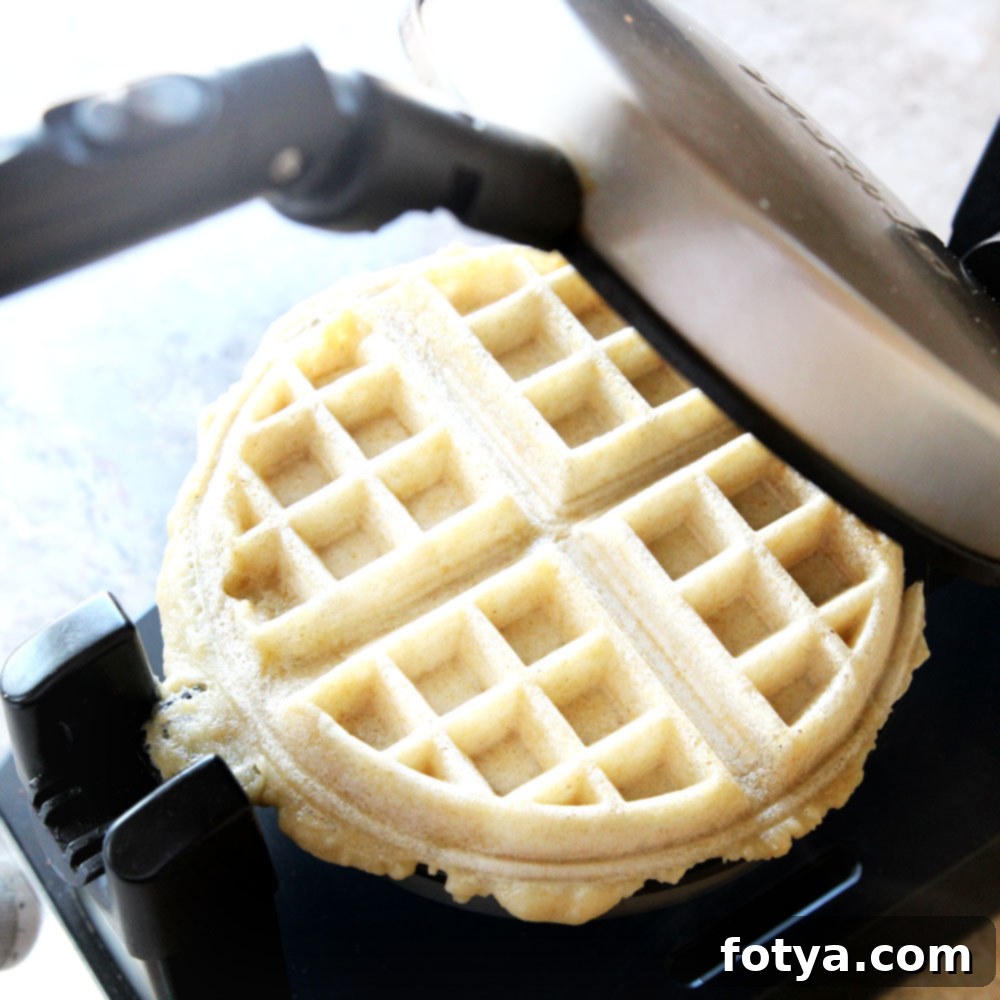 Πανεύκολες Βάφλες Mochi Καστανού Ρυζιού 7 χρησιμοποιώντας μια βαφλιέρα για να ψήσετε μότσι