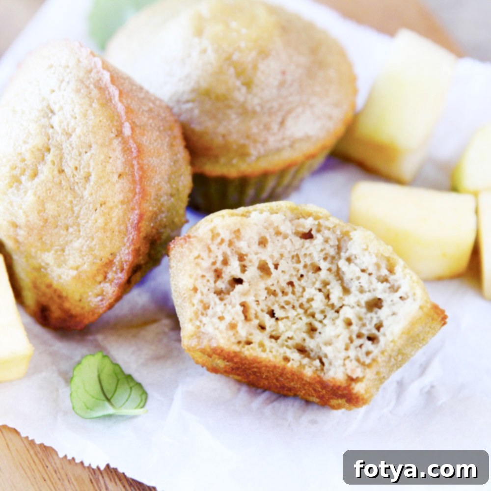Υγιεινά Μάφιν Μήλου Ολικής Άλεσης 3 Muffins Μήλου Ολικής Άλεσης