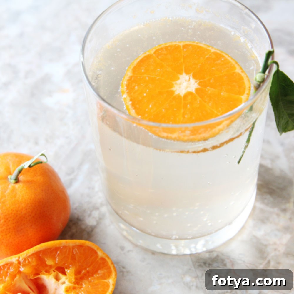 Συνταγή για Seedlip Orange Crush Κοκτέιλ Χωρίς Αλκοόλ 3 Μη Αλκοολούχο Κοκτέιλ Μανταρίνι με Seedlip Grove 42