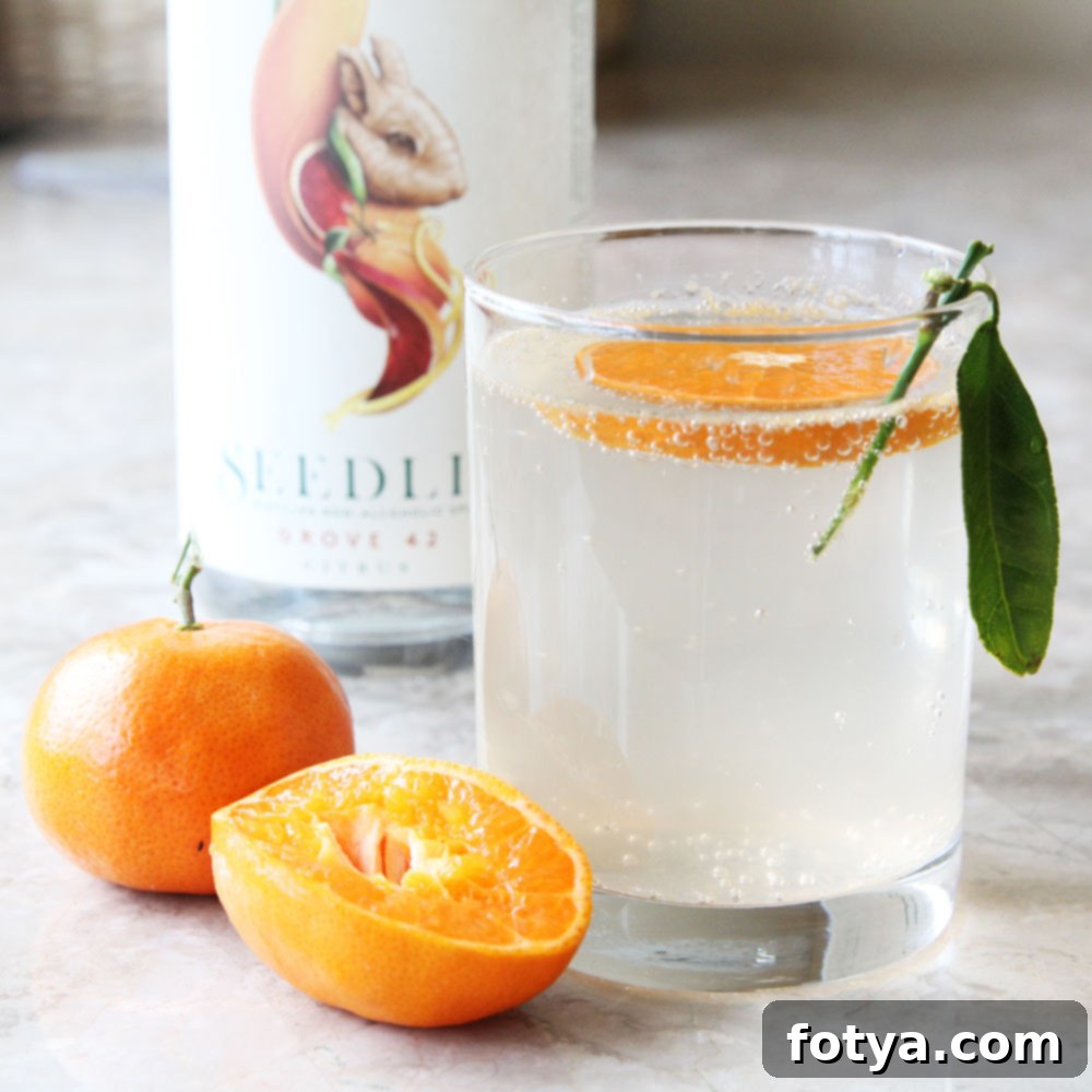 Συνταγή για Seedlip Orange Crush Κοκτέιλ Χωρίς Αλκοόλ 8 Μη Αλκοολούχο Κοκτέιλ Μανταρίνι με Seedlip Grove 42
