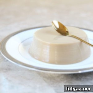 Μόλις 22 Θερμίδες Ζελέ Καφέ Αμυγδαλόγαλου στο Μικροκύματα 13 4 υλικά ζελέ καφέ με γάλα αμυγδάλου, δροσερό επιδόρπιο