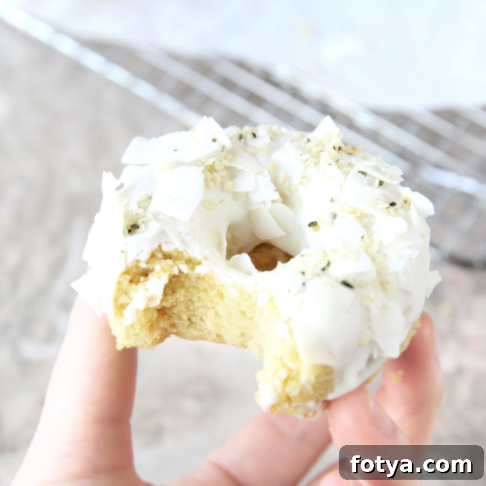 Ψητοί Ντόνατς Μότσι Καρύδας 2 Ψητά Mochi Ντόνατς με Αλεύρι Καρύδας