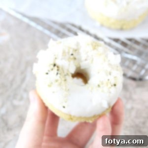 Ψητοί Ντόνατς Μότσι Καρύδας 10 Ψητά Mochi Ντόνατς με Αλεύρι Καρύδας