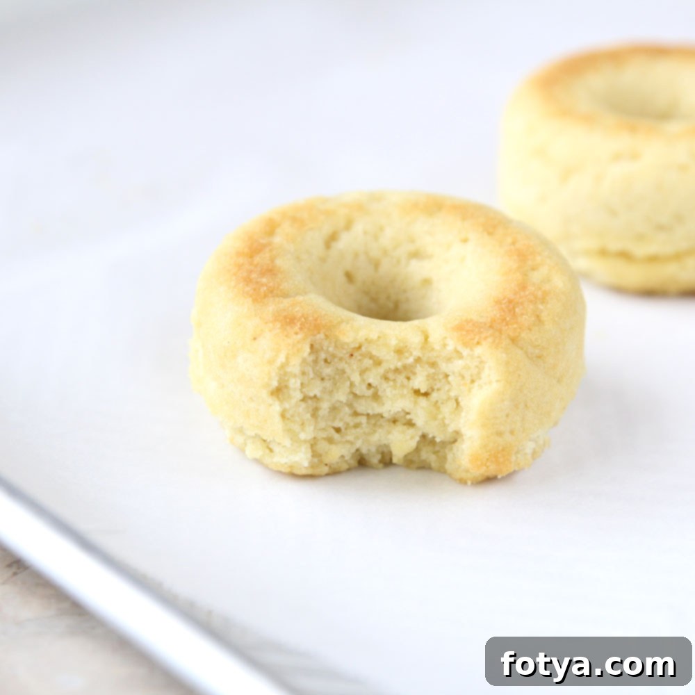 Ψητοί Ντόνατς Μότσι Καρύδας 4 Ψητό mochi ντόνατς με αλεύρι καρύδας