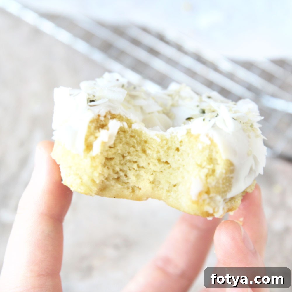 Ψητοί Ντόνατς Μότσι Καρύδας 7 Γλασαρισμένα Mochi Ντόνατς με Αλεύρι Καρύδας