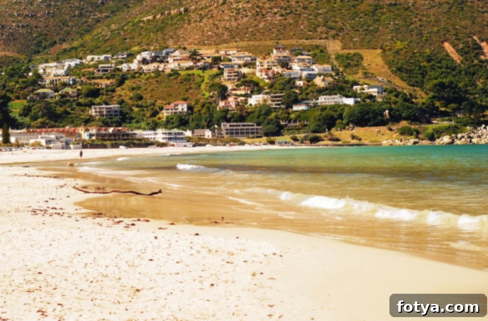 Νοτιοαφρικανική Κυριακή Χάουτ Μπέι 3 Πινακίδες προειδοποίησης για μολυσμένα νερά στην παραλία Hout Bay, με τη θάλασσα και τα βουνά στο βάθος
