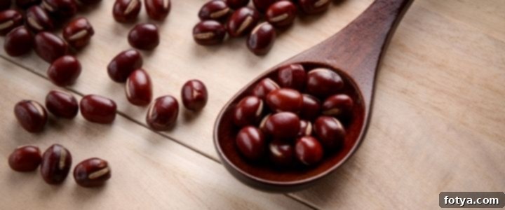 Υγιεινά Οφέλη των Φασολιών: 5 Είδη να Βάλετε στο Πιάτο σας Τώρα 6 Μαύρα φασόλια σε ξύλινο κουτάλι σε φόντο αγροκτήματος