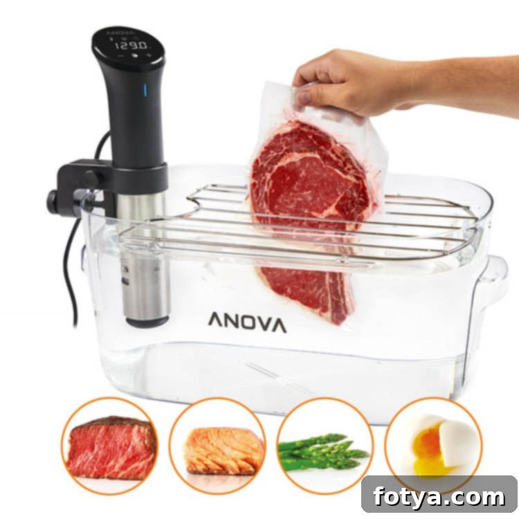 Οδηγός Δώρων Sous Vide: Από τον Αρχάριο στον Ειδικό 2 Anova Immersion Circulator Bundle