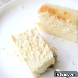 Συνταγή για Ιαπωνικό Τσιζκέικ Σουφλέ με Τόφου 12 Πώς να φτιάξετε Ιαπωνικό Σουφλέ Τσίζκεϊκ με Τόφου