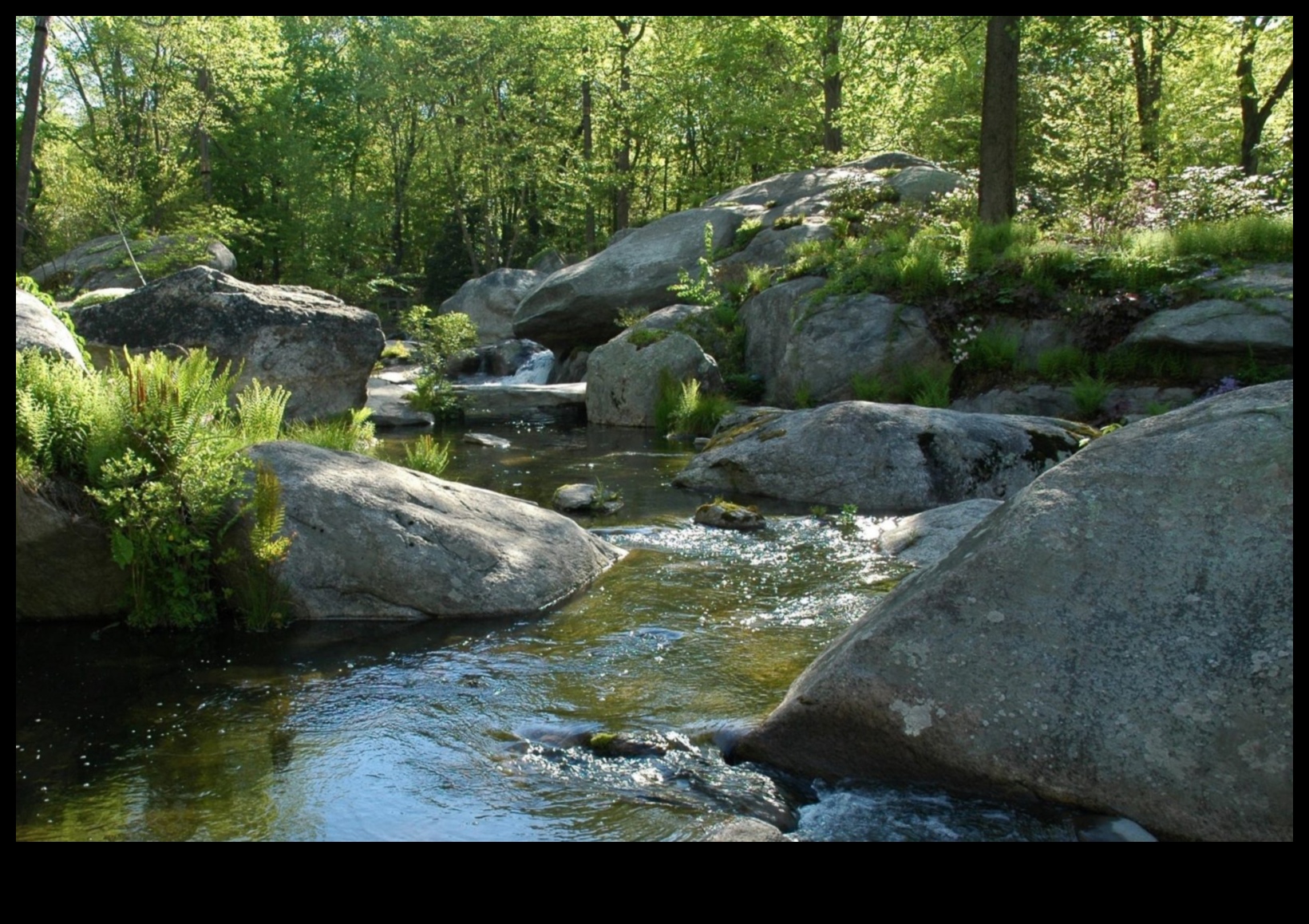 Η ροή των ροών ζωής και η σημασία τους 2 Rhythms of Rivulets III: Streams and Creeks Flowing Through Various Landscapes Again