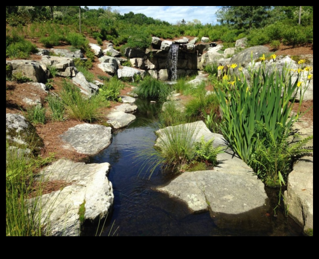 Η ροή των ροών ζωής και η σημασία τους 4 Rhythms of Rivulets III: Streams and Creeks Flowing Through Various Landscapes Again