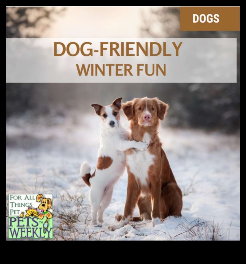 Παιχνιδιάρικα και παιχνιδιάρικες δραστηριότητες για κατοικίδια για χαρούμενες ουρές 5 Pawsitively Playful: Ενδιαφέρουσες δραστηριότητες για κατοικίδια για χαρούμενες ουρές