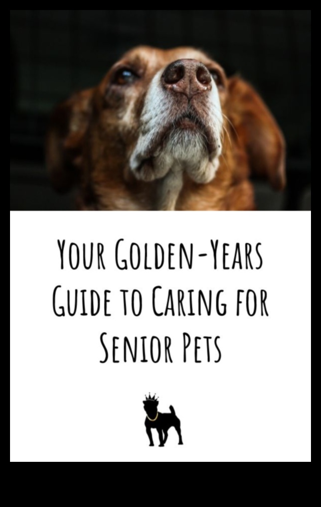 Golden Years: Senior Pet Care Strategies for Aging Companions