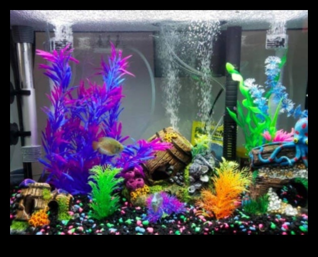 Αξεσουάρ ενυδρείου Extravaganza Ανεβάστε το επίπεδο της δεξαμενής σας με στυλ και κομψότητα 5 Αξεσουάρ Ενυδρείου Extravaganza Συνέχεια: Προσθέστε κομψότητα και στυλ στη δεξαμενή ψαριών σας