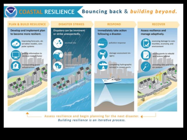 Χτίζοντας μια ανθεκτική ακτή Χτίζοντας μια ανθεκτική ακτή