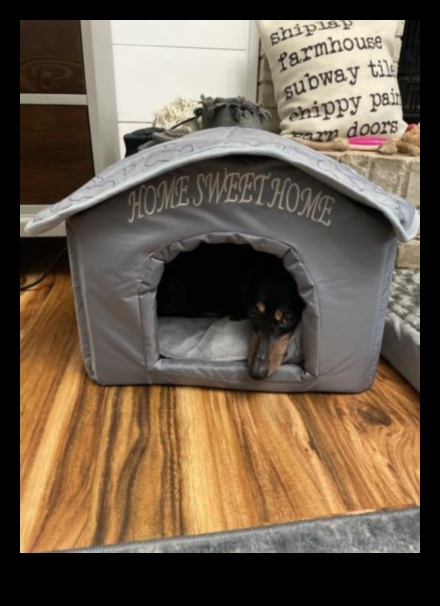 Home Sweet Home Δημιουργώντας ένα ασφαλές καταφύγιο για τον σκύλο σας 3 Home Sweet Home: Δημιουργώντας ένα ασφαλές καταφύγιο για τον σκύλο σας