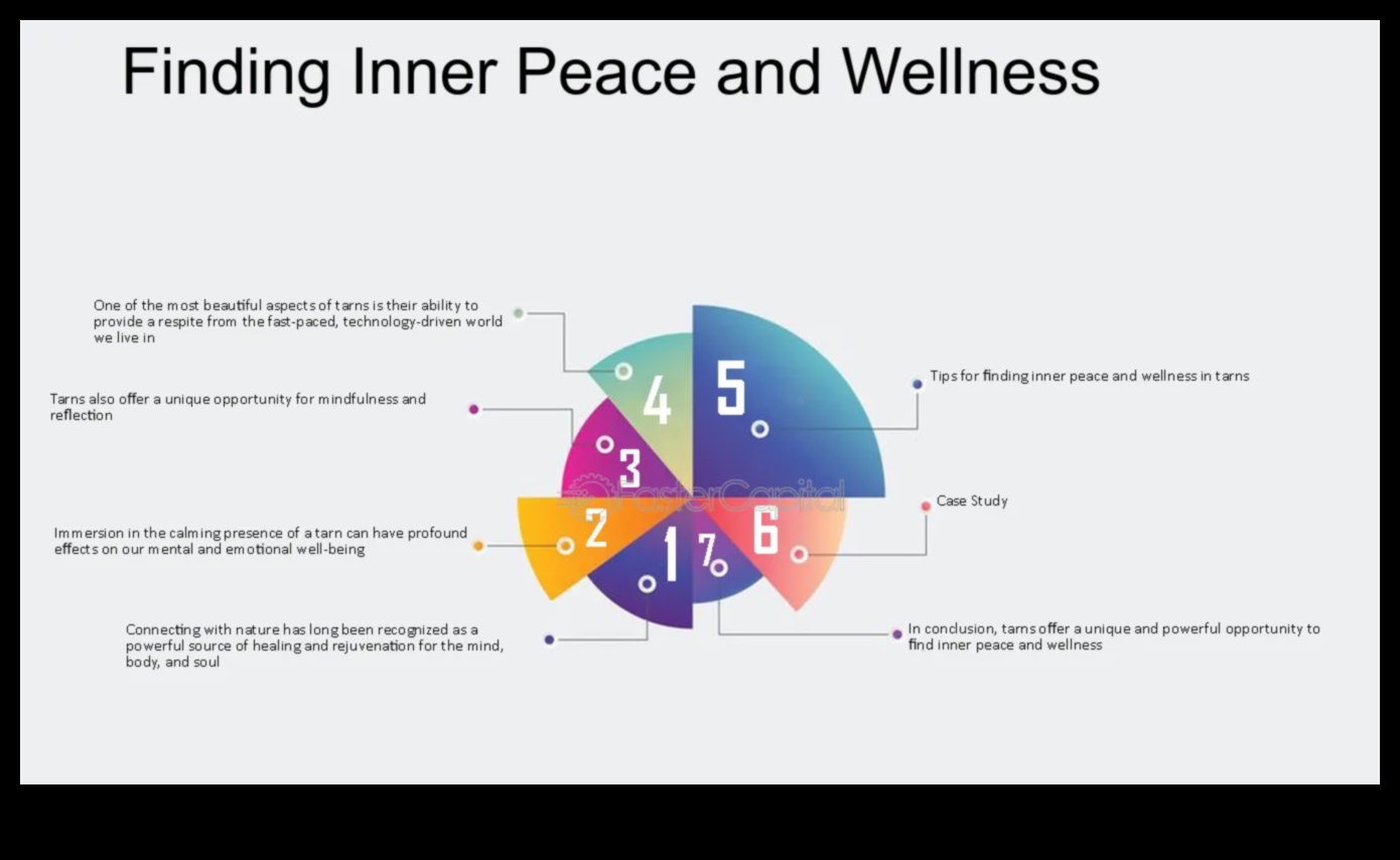 Ήσυχα Retreats Βρείτε την ειρήνη και την ησυχία στο χάος 3 Ήσυχα καταφύγια: Ανακαλύπτοντας ήρεμη και γαλήνια θέα