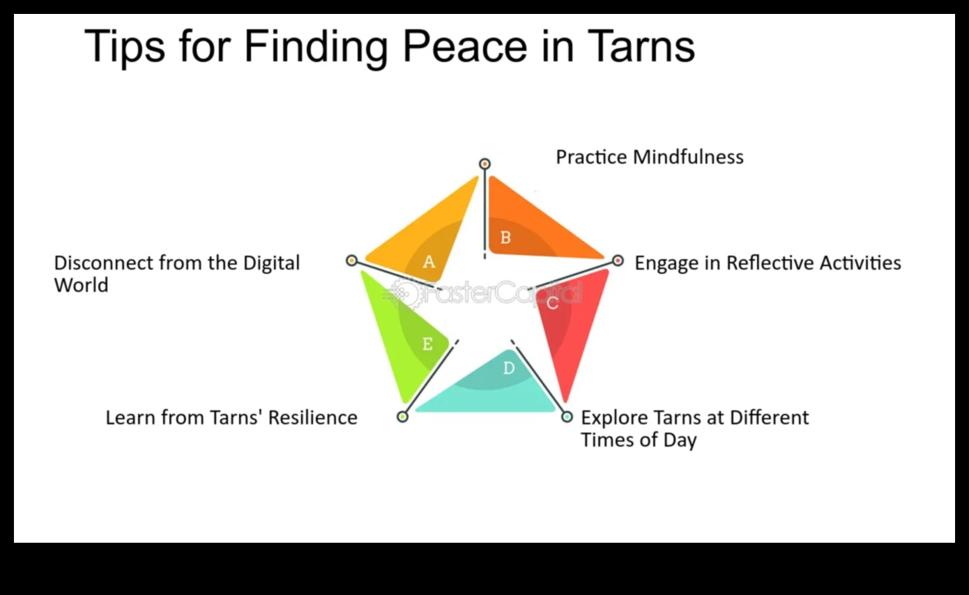 Ήσυχα Retreats Βρείτε την ειρήνη και την ησυχία στο χάος 4 Ήσυχα καταφύγια: Ανακαλύπτοντας ήρεμη και γαλήνια θέα