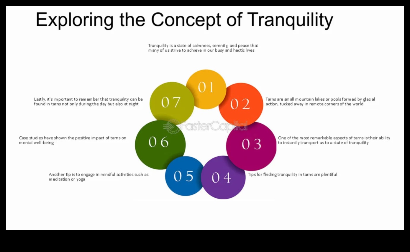 Ήσυχα Retreats Βρείτε την ειρήνη και την ησυχία στο χάος 5 Ήσυχα καταφύγια: Ανακαλύπτοντας ήρεμη και γαλήνια θέα