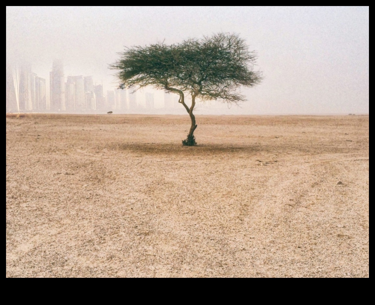Πώς επηρεάζουν οι διαφορετικές μέθοδοι διατήρησης του εδάφους τη βιωσιμότητα των τοπίων;