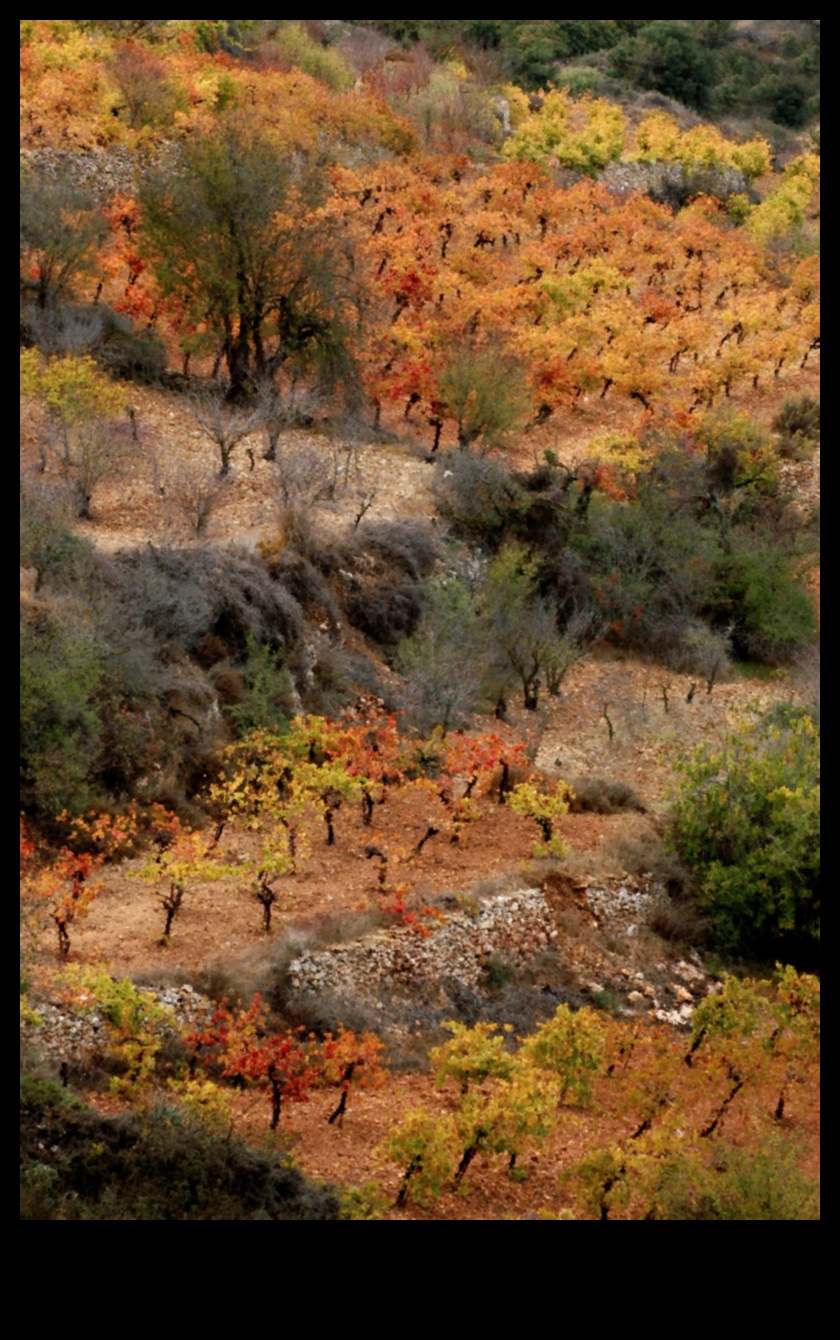Φθινοπωρινό φύλλωμα Μια οπτική γιορτή 4 Φθινοπωρινή Παλέτα: Θαυμάζοντας τον Πλούτο των Φθινοπωρινών Χρωμάτων