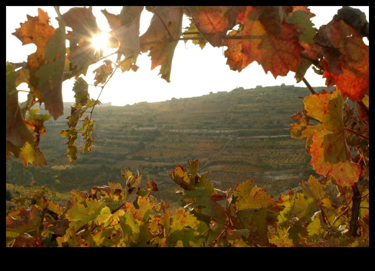 Φθινοπωρινό φύλλωμα Μια οπτική γιορτή 3 Φθινοπωρινή Παλέτα: Θαυμάζοντας τον Πλούτο των Φθινοπωρινών Χρωμάτων