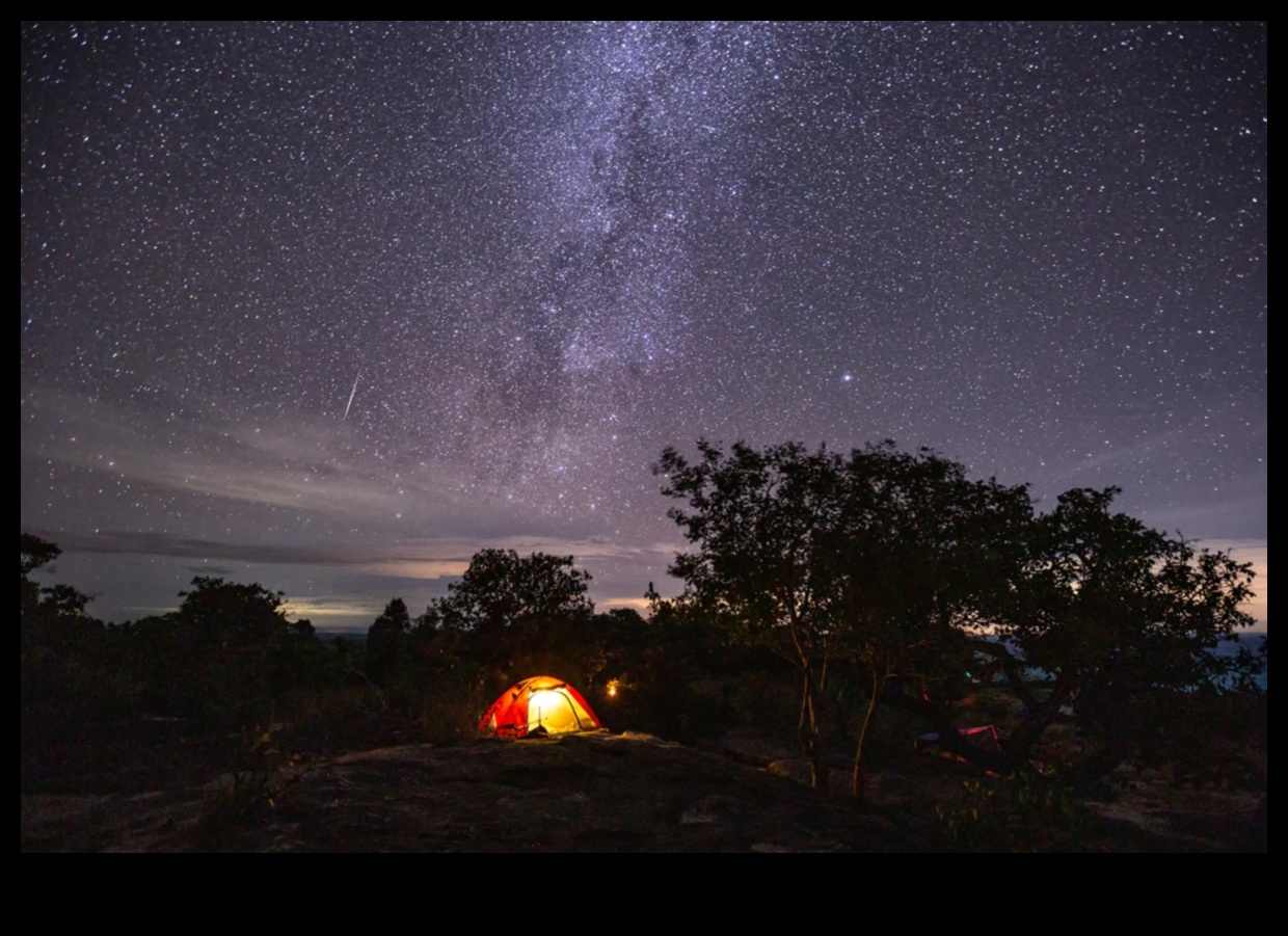 Starry Soiree: A Celestial Celebration Midst the Galaxies' Brilliance