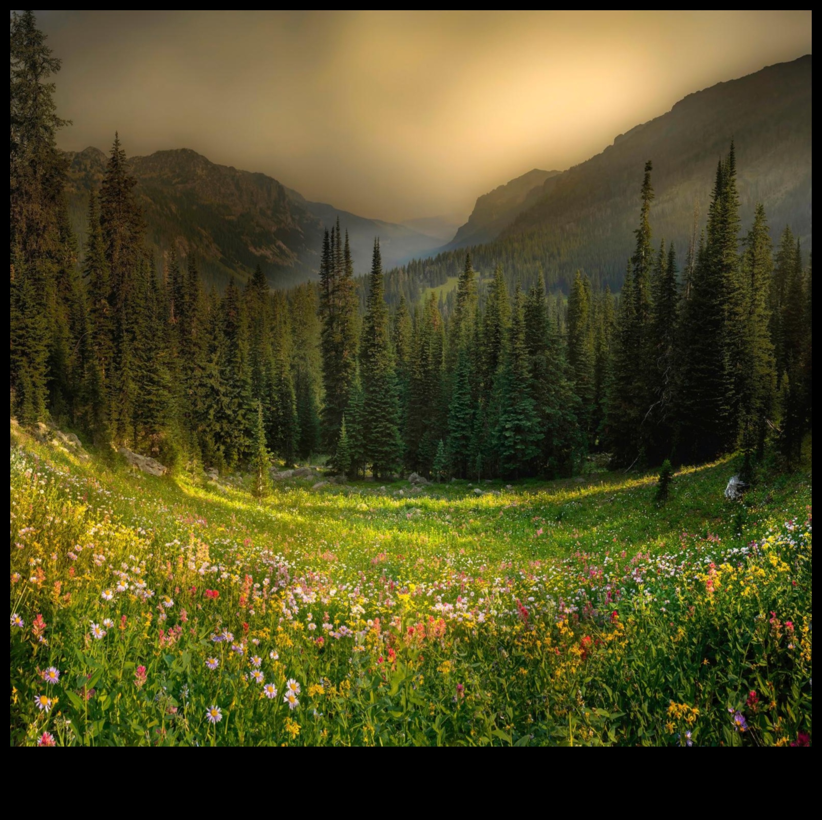 Βουνά Μια Υπέροχη Ομορφιά 4 Summit Serenity: Εξερευνώντας την ηρεμία των ορεινών τοπίων