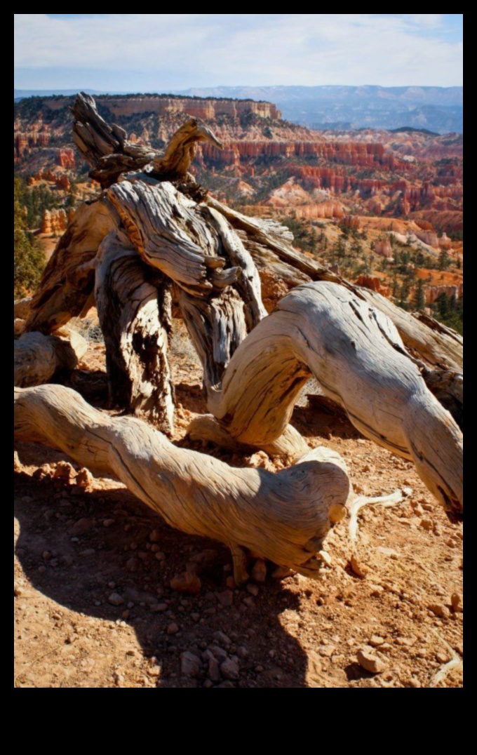 Η διαχρονική ομορφιά της φύσης 2 Eternal Beauty: Διαχρονικά τοπία σε φωτογραφίες