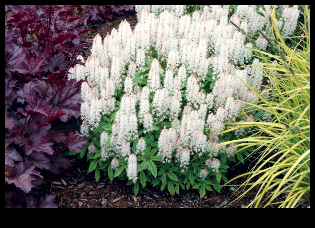 A Symphony of Spring Flowers 4 Blooming Beginnings: Spring Blossoms Unveiled