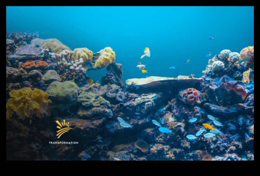 Συνεχιζόμενες καινοτόμες στρατηγικές για την προστασία των ωκεανών για την προστασία των ακτών 2 Συνεχίζεται η προστασία των ακτών: Καινοτόμες στρατηγικές για την προστασία των ωκεανών