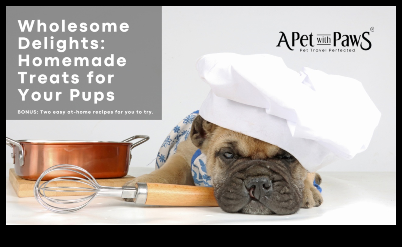 Doggy Delights Συνταγές για σπιτικό κέρασμα που θα λατρέψει το κουτάβι σας 5 Doggy Delights: Homemade Treat Recipes που θα λατρέψει το κουτάβι σας