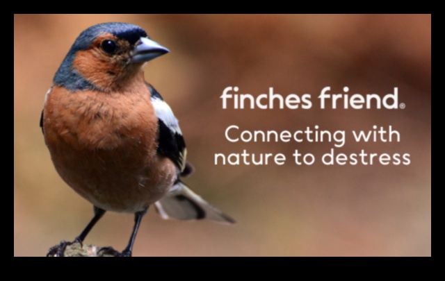 Θεραπευτικά οφέλη Η θεραπευτική δύναμη της παρατήρησης πουλιών 3 Η θεραπευτική δύναμη της παρατήρησης πουλιών: Θεραπευτικά οφέλη