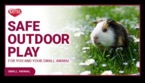 Hamster Playtime Συνέχισε τη δημιουργία ασφαλών υπαίθριων χώρων εξερεύνησης