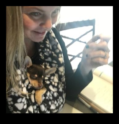 Συμβουλές συγκόλλησης Critter Cuddles για ιδιοκτήτες μικρών ζώων 4 Critter Cuddles: Bonding Tips για ιδιοκτήτες μικρών ζώων