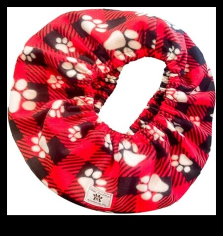 Συμβουλές συγκόλλησης Critter Cuddles για ιδιοκτήτες μικρών ζώων Συμβουλές συγκόλλησης Critter Cuddles για ιδιοκτήτες μικρών ζώων